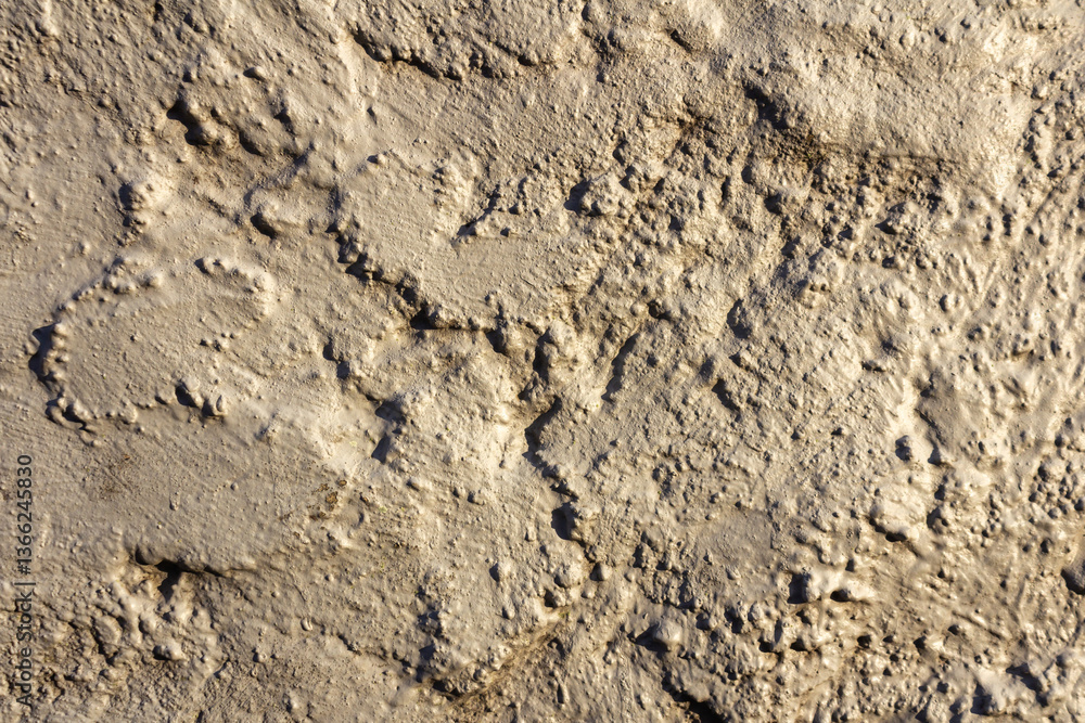 Rough Concrete Plaster Wall Texture with Natural Imperfections Rough Concrete Plaster Wall Texture with Natural Imperfections