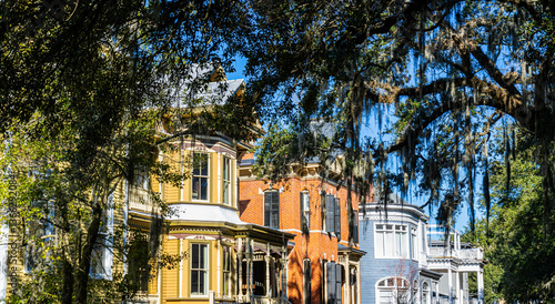 Framed View of Spanish Moss on Oak Trees and Old Houses in The Historic Downtown District, Savannah, Georgia, USA
