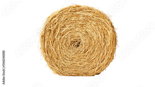 Round hay bale rolled, straw roll on black background, cut out transparent