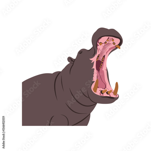 A detailed flat vector illustration of a yawning hippopotamus showcasing its large mouth and prominent teeth in a playful, cartoonish style emphasizing its vibrant color palette in vector art