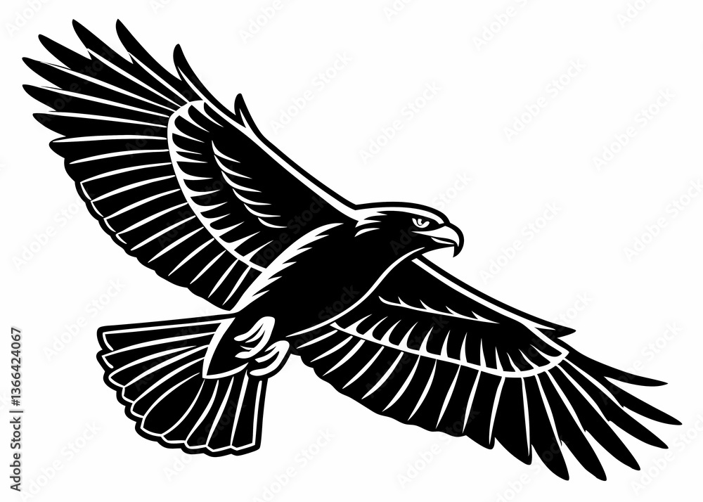 Fototapeta premium Flying hawk vector illustration fierce predator bird of prey with spread wings silhouette artwork