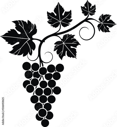 Black silhouette of grapevine with clusters of grapes and leaves, vector design