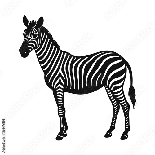 zebra vector illustration