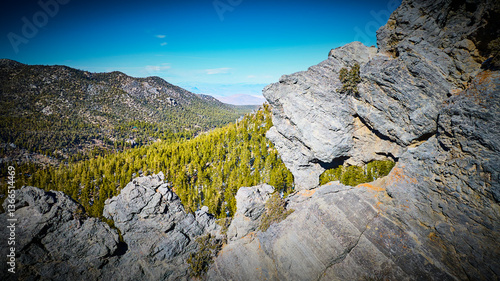 Quadro su tela Aerial of Rugged Rocks and Lush Forest in Mt Charleston Nevada