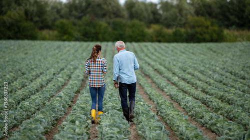 Conversations in the cabbage field between two farmers, man and woman