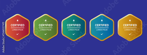 Certificate badge hexagon template for company training vector illustration	