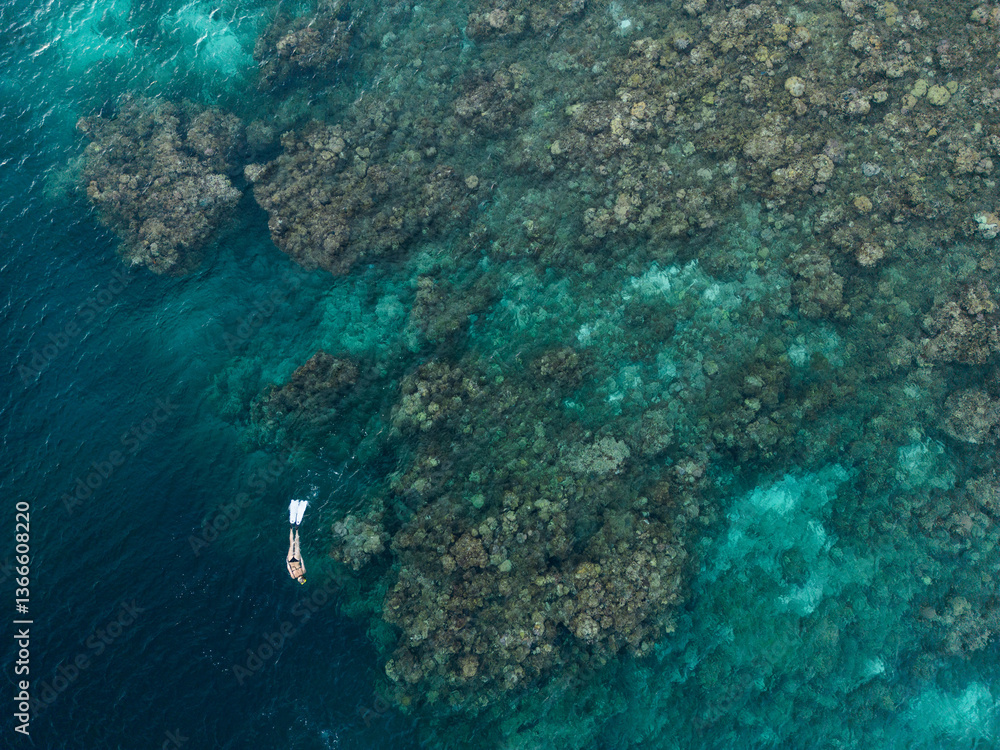 Fototapeta premium Freediver on the coral reef from a drone perspective