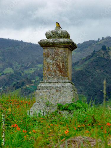 Ave sobre una estatua 