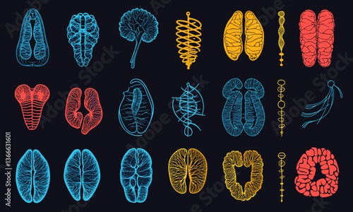 Collection of abstract brain designs in various styles and colors on dark background, vector