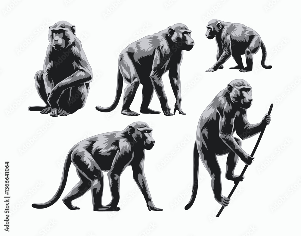 Versatile Baboon Silhouette Isolated Template Collection Versatile Baboon Silhouette Isolated Template Collection