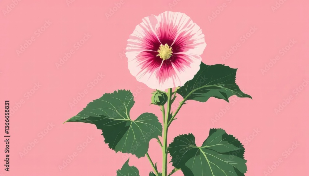 A hollyhock flower of a vector illustration on a minimalist pink background. A hollyhock flower of a vector illustration on a minimalist pink background.
