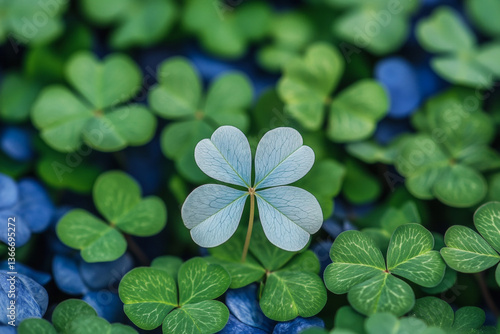 four leaf clover