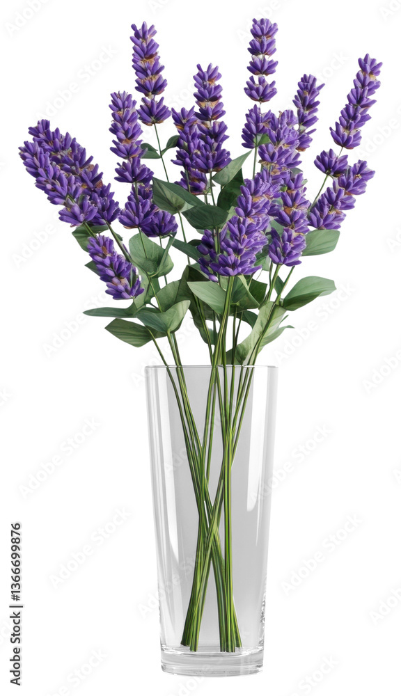 Fototapeta premium PNG Lavender flowers bouquets glass vase arrangement.