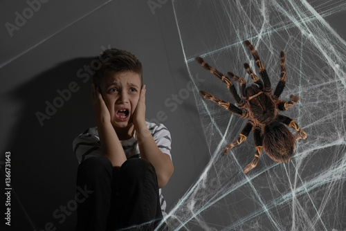 Scared boy and cobweb with spider against grey background. Arachnophobia concept