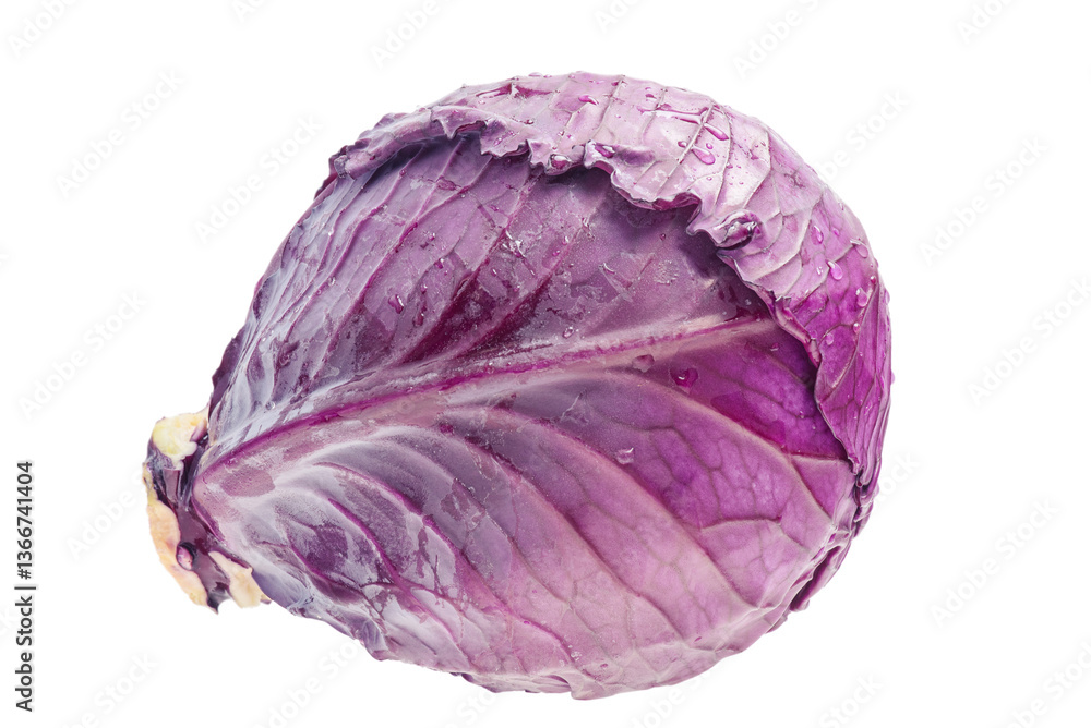 Red cabbage isolate. Vegetable, purple cabbage. Red cabbage isolate. Vegetable, purple cabbage.
