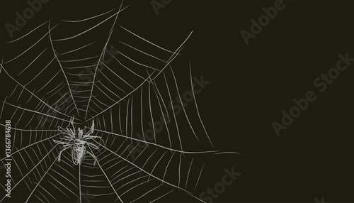 spiderweb (20241103075930).eps