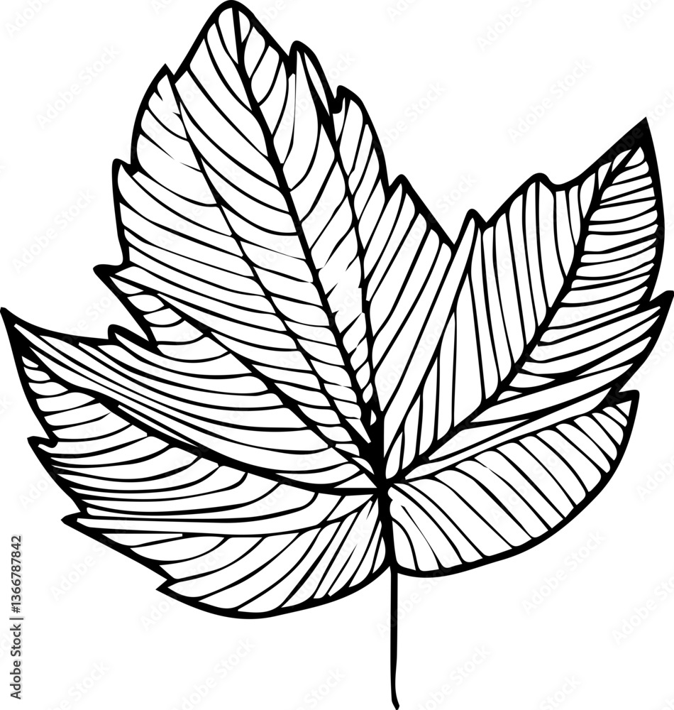 Stylized Leaf or Botany Vector Element Stylized Leaf or Botany Vector Element