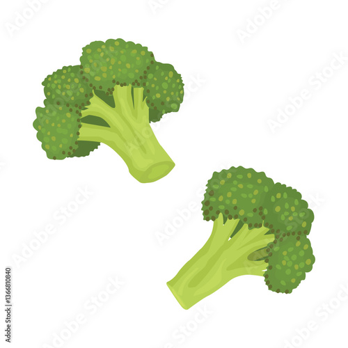 Fresh raw green broccoli cabbage healthy food