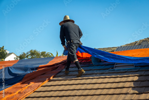 Wallpaper Mural Eye level with a worker wearing a straw hat installing an orange and blue  fumigation tent on a house Torontodigital.ca