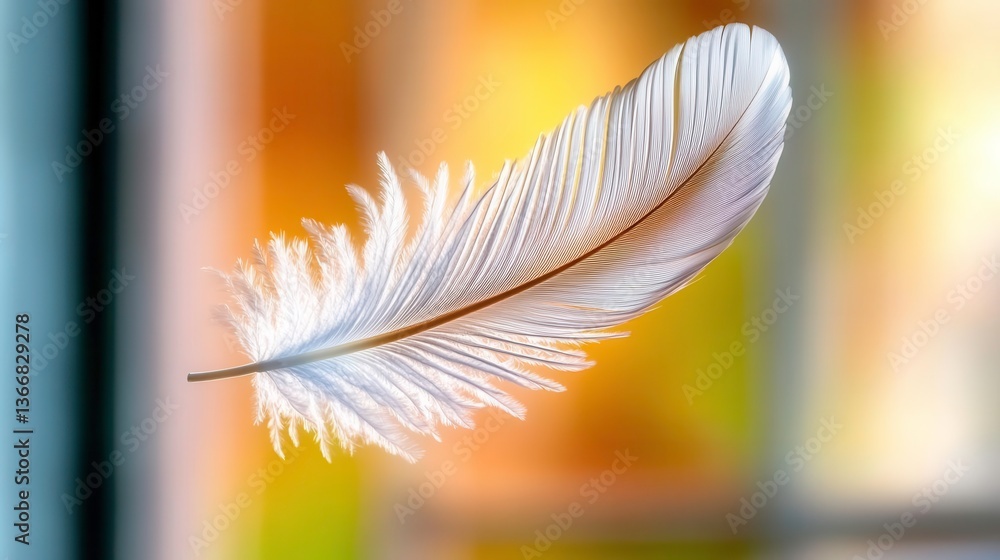 Naklejka premium Single White Feather, Soft Light, Macro - Minimalism