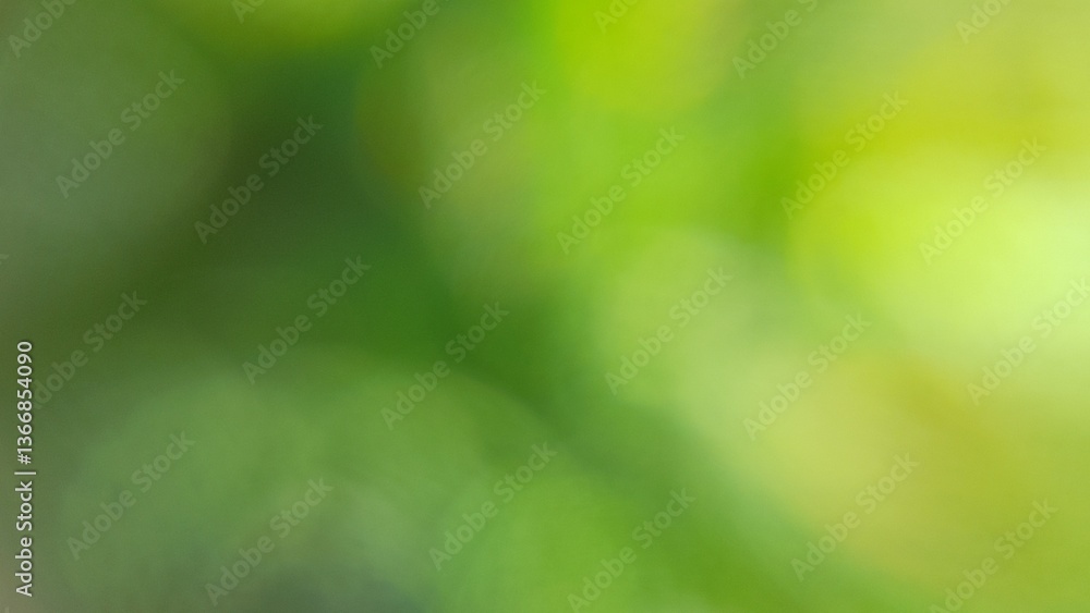 Obraz premium Soft bokeh green light blurred noise grainy background