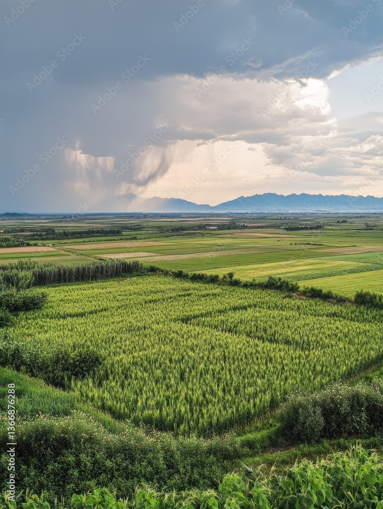 Obraz premium Stormy Sky Over Rural Farmland.