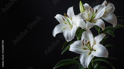 a bouquet of lilies on a black background.
