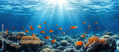 Obraz na płótnie Underwater Scene with Colorful Fish Swimming Above Coral Reef w salonie