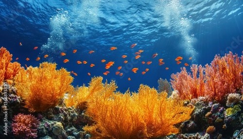 Vibrant Underwater Scene with Colorful Coral Reef and School of Fish