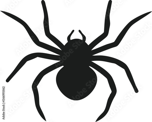  spider isolated on white background