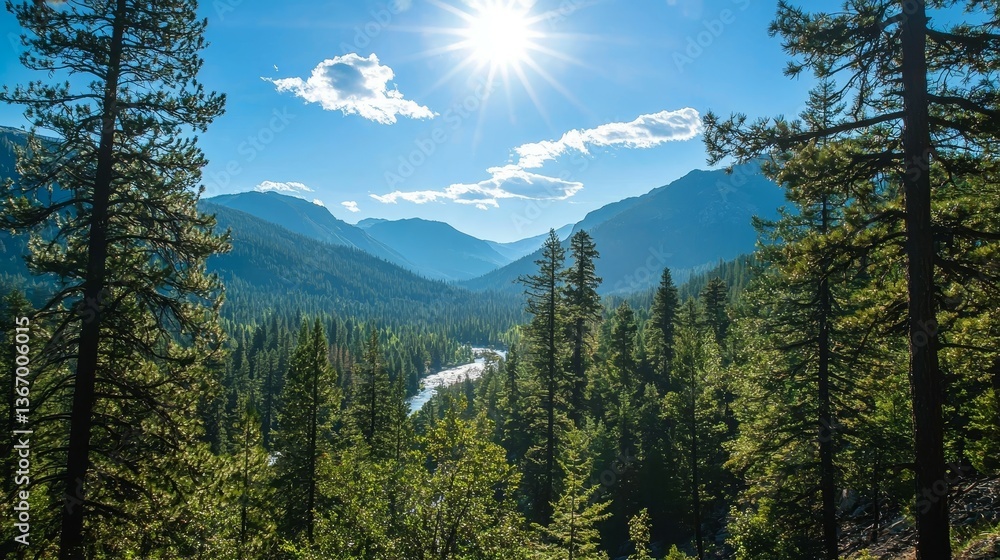 Fototapeta premium Scenic Plumas County, California Sunny Day in a Lush Forest with Majestic Mountains and River Valley Views