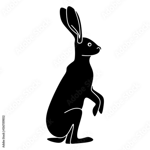 jack rabbit