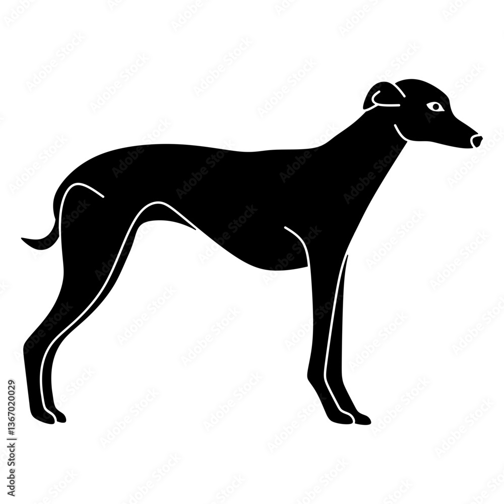whippet whippet