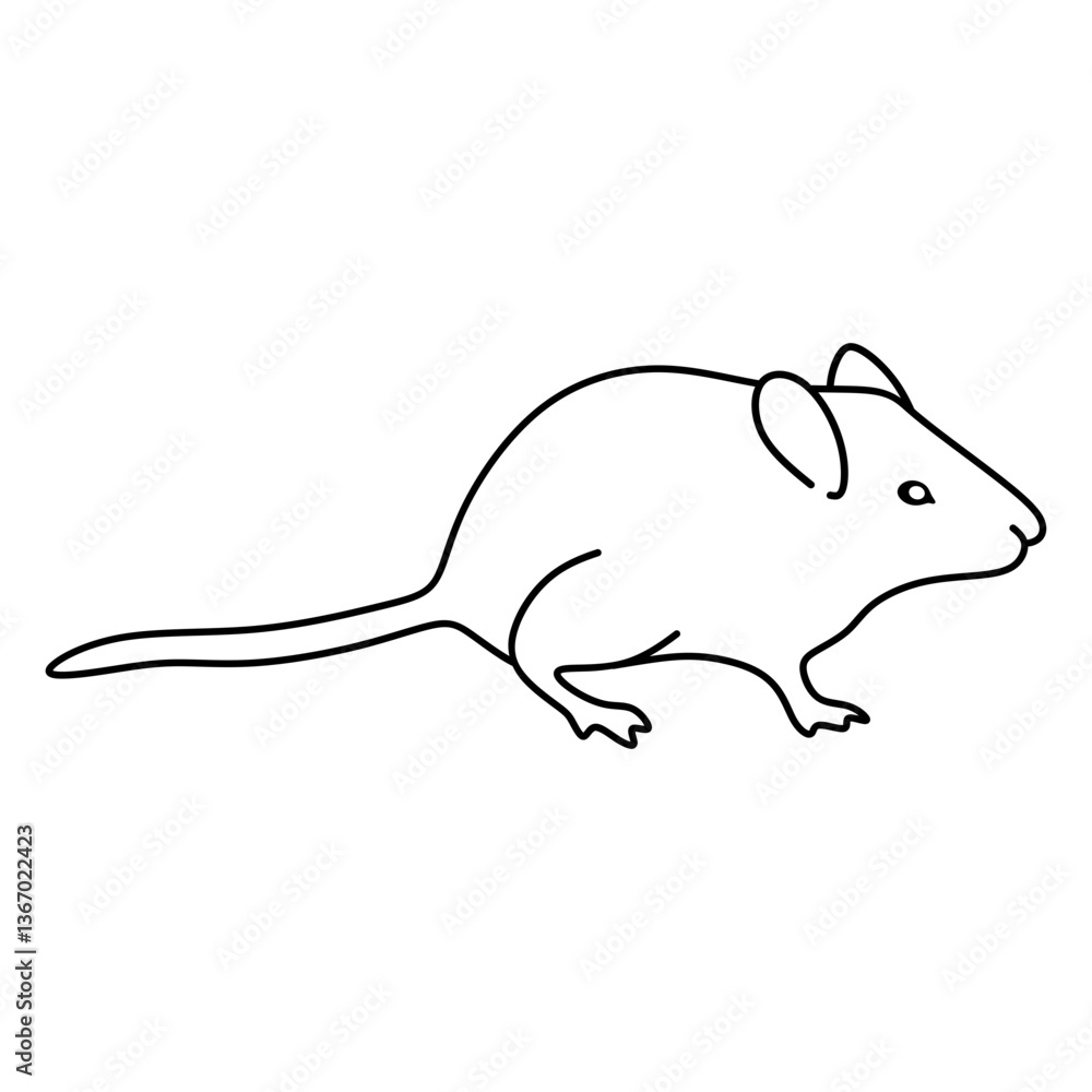 mouse mouse
