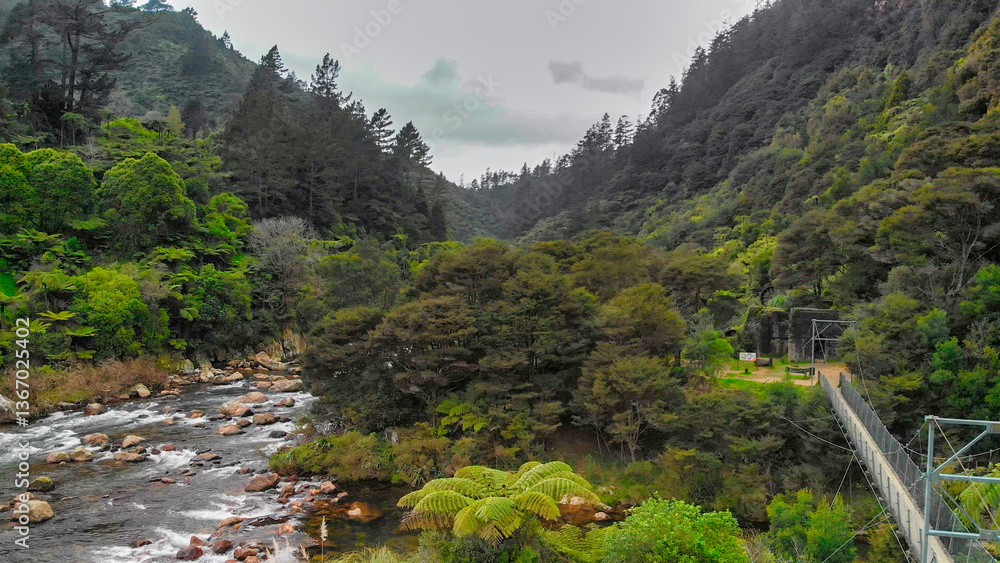 Bird’s-eye perspective of Karangahake Gorge with its vibrant green foliage and river