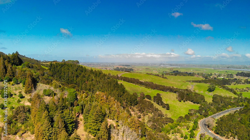 Bird’s-eye perspective of dense forest in New Zealand surrounded by natural beauty