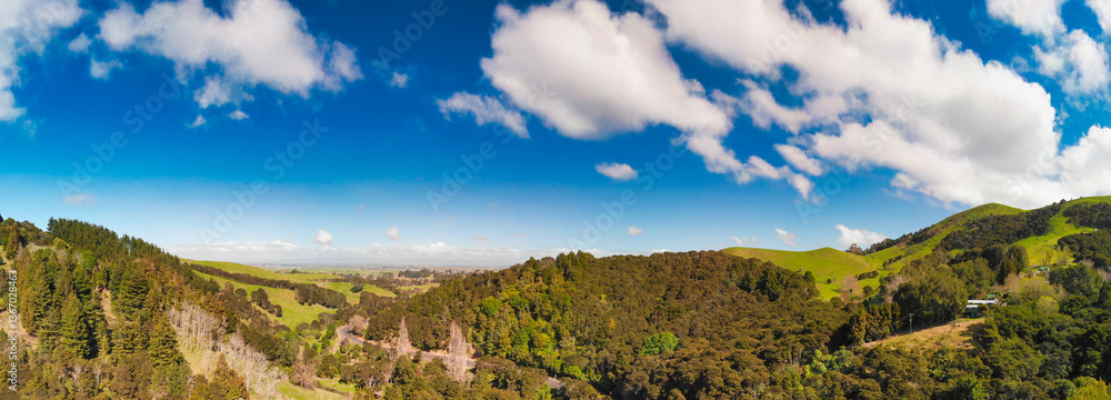 Bird’s-eye perspective of dense forest in New Zealand surrounded by natural beauty