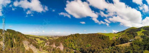 Obraz na płótnie Bird’s-eye perspective of dense forest in New Zealand surrounded by natural beauty w salonie