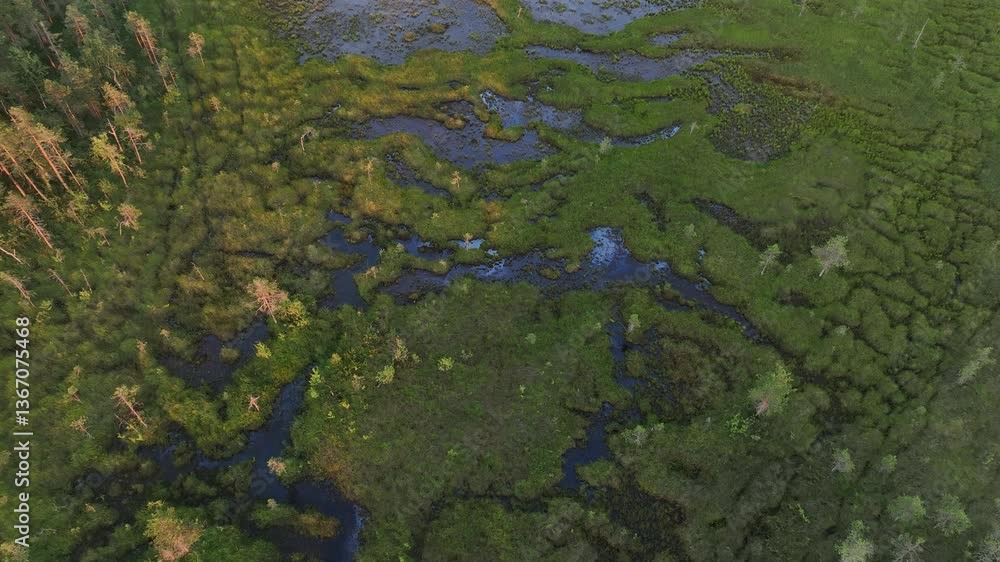 Aerial view of the Kalix River in Overkalix, Sweden, winding through a lush green forest Aerial view of the Kalix River in Overkalix, Sweden, winding through a lush green forest