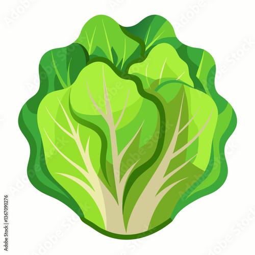 Lettuce