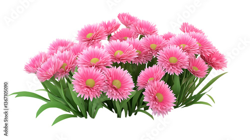 3D rendering Bellis flower isolated on png