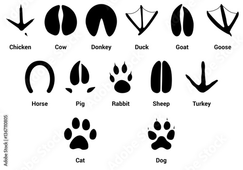 Farm Animal Tracks with name