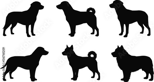 Captivating pet icon presenting classic artistic elements in a sleek digital composition