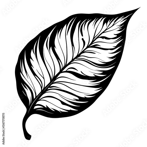 Leaf with a black outline and white veins