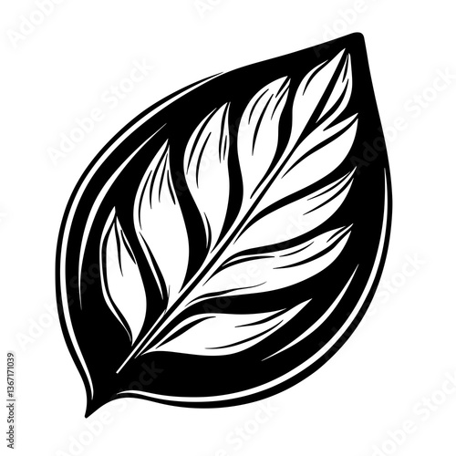 Leaf with a black outline and white veins