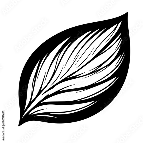Leaf with a black outline and white veins