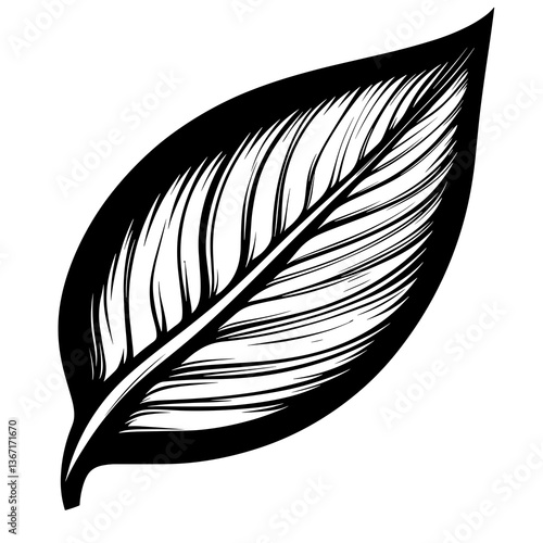 Leaf with a black outline and white veins