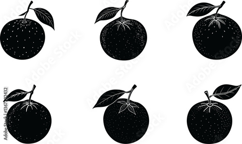 Tangerine silhouette vector