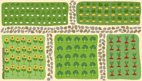 Gardening and farming concept banner. Nature background of beds of vegetables and paths between them. Regenerative farming concept. Vector flat background.