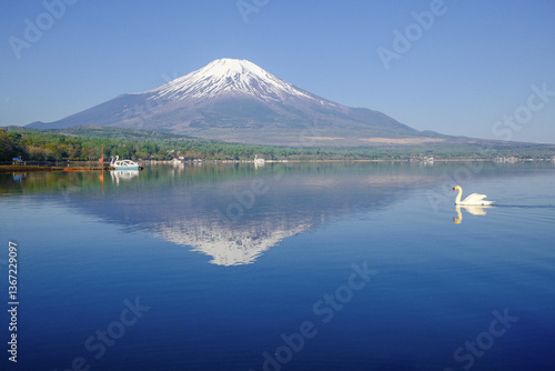 富士山と山中湖と白鳥